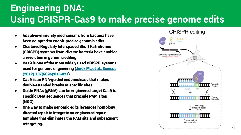 engineering dna using crispr cas9 to make precise