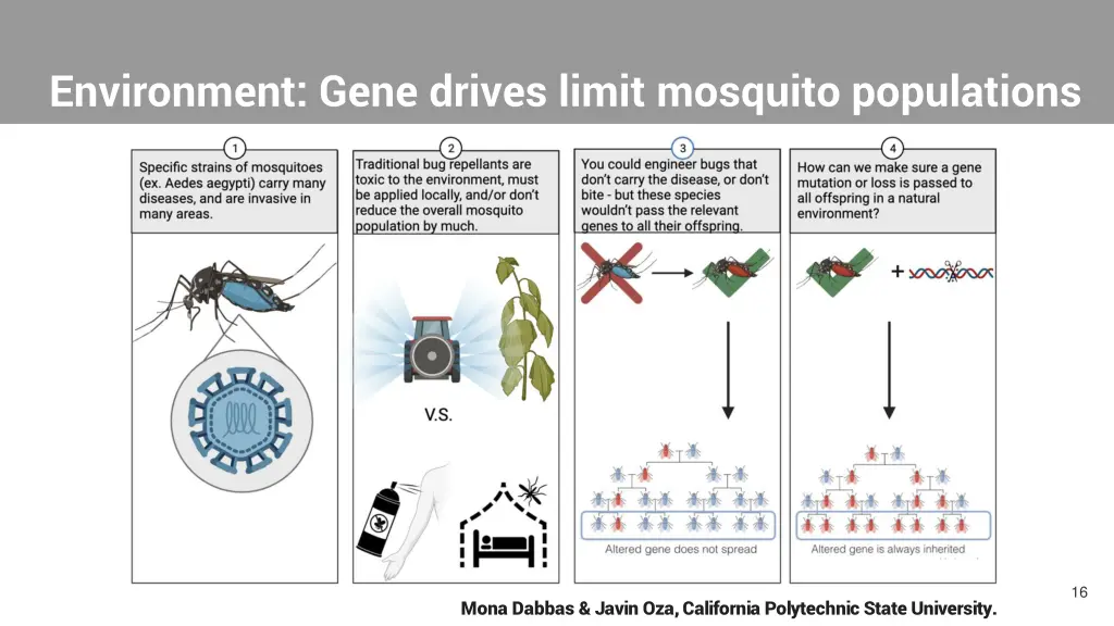 environment gene drives limit mosquito populations