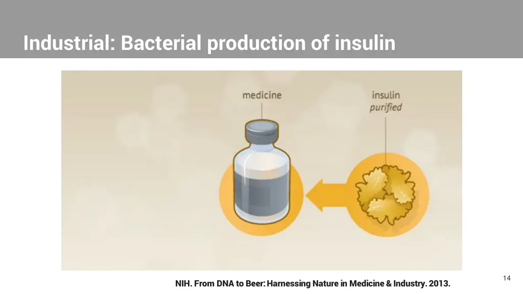 industrial bacterial production of insulin 6