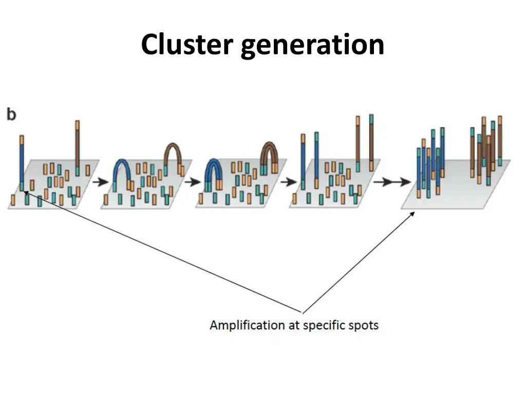 cluster generation 1