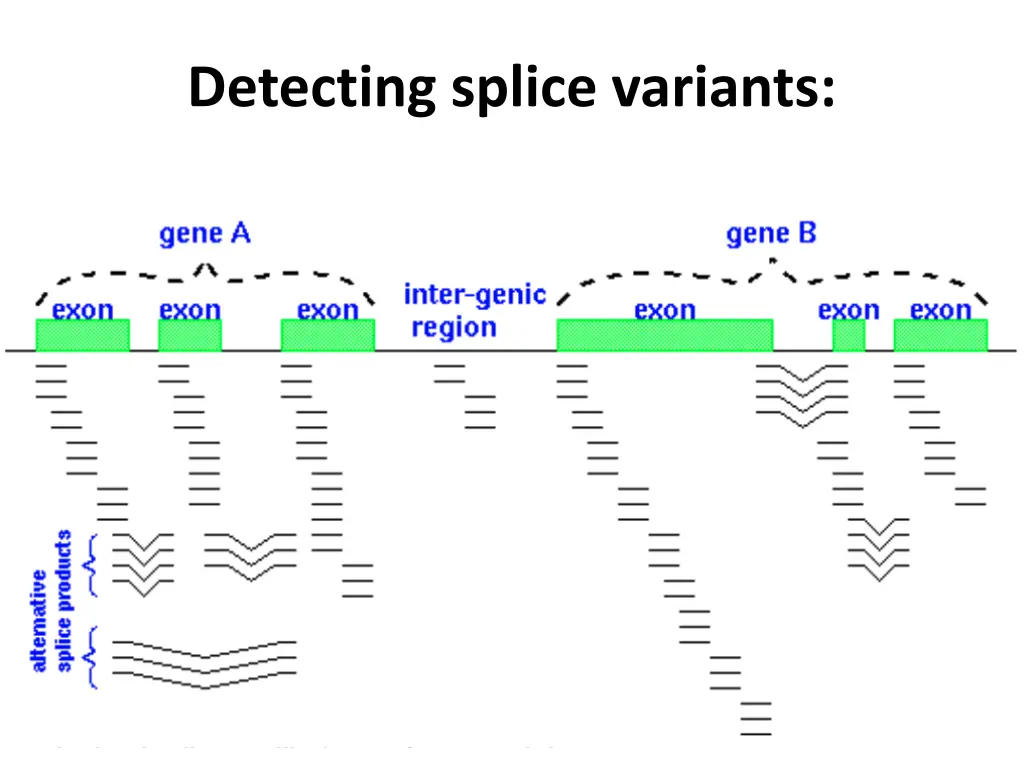 detecting splice variants