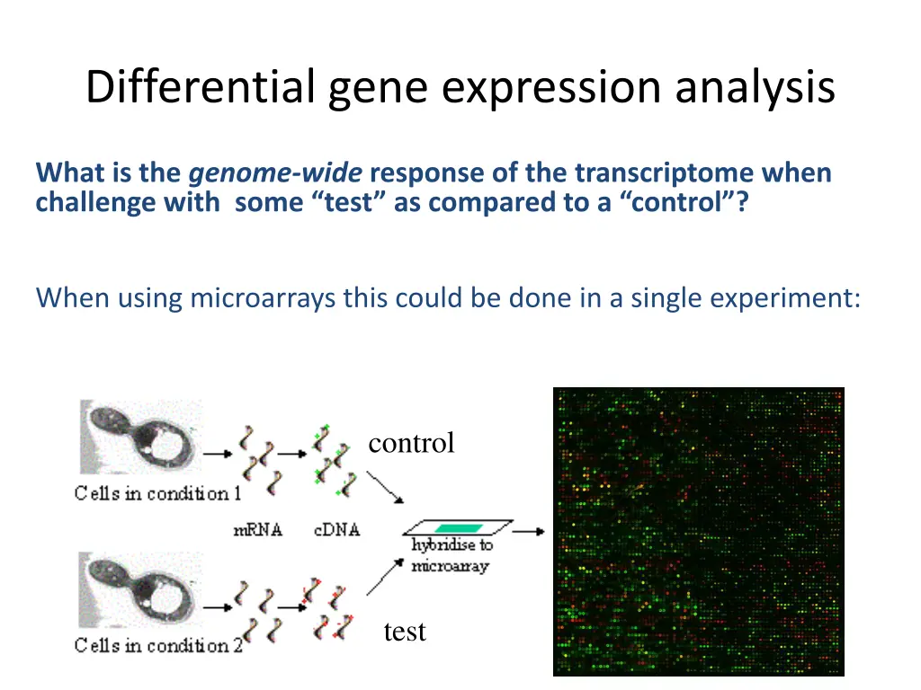 differential gene expression analysis