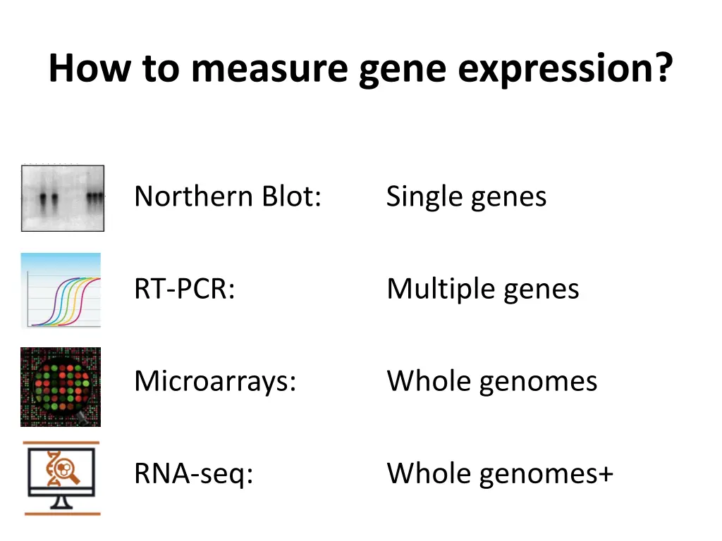 how to measure gene expression