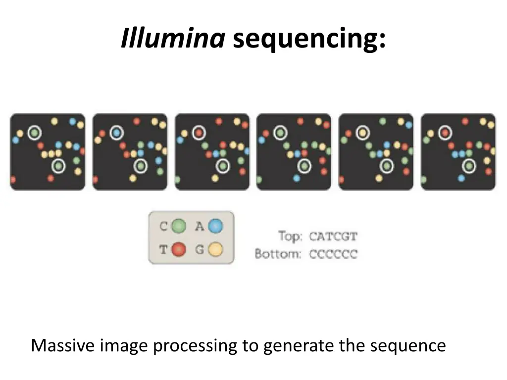 illumina sequencing 1