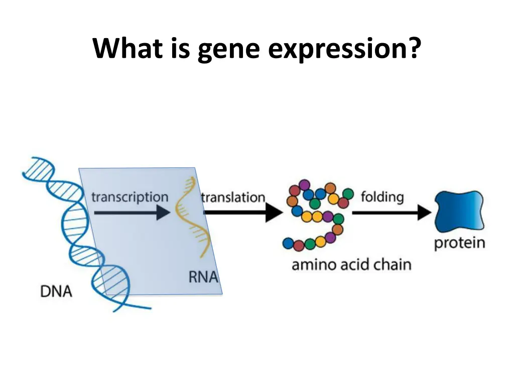 what is gene expression