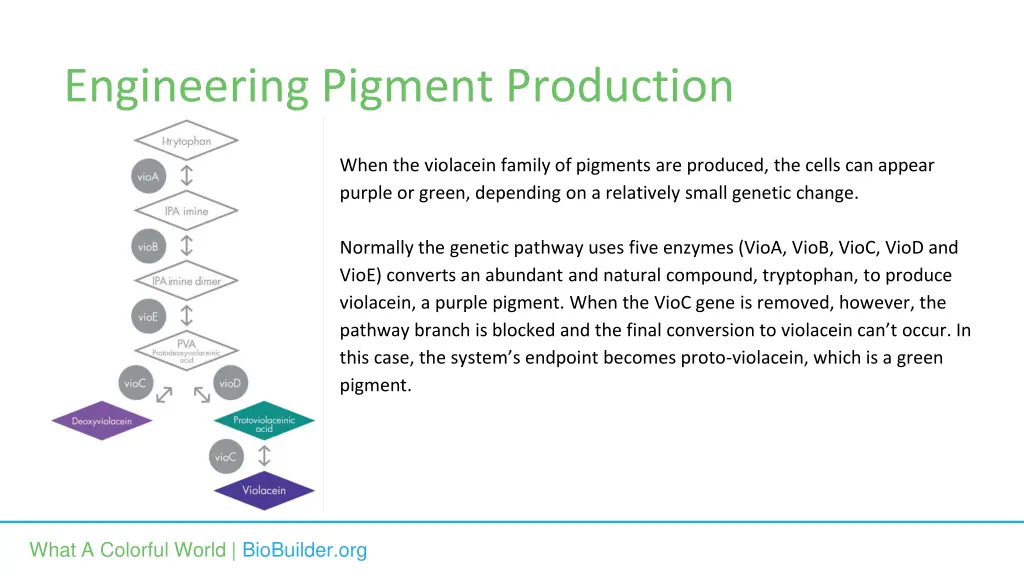 engineering pigment production 1