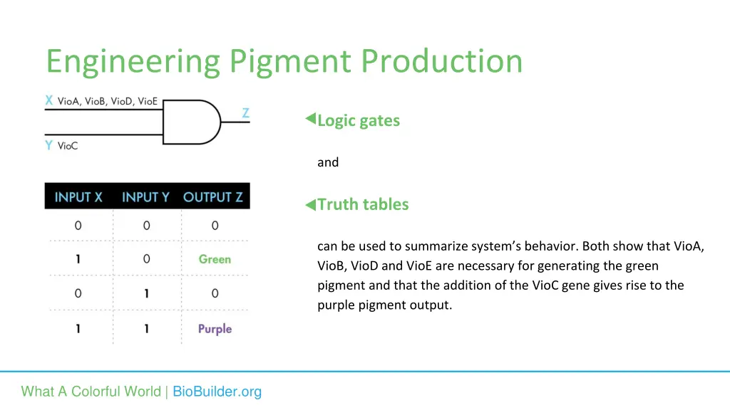 engineering pigment production 2