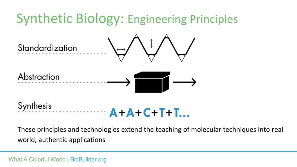 synthetic biology engineering principles