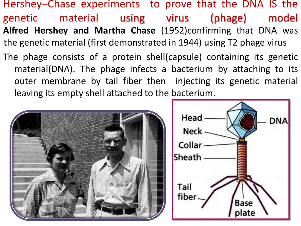 hershey chase experiments to prove that