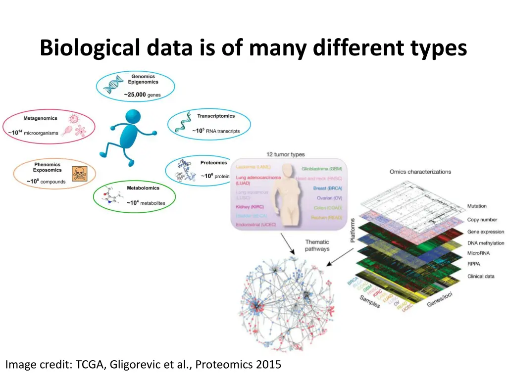 biological data is of many different types