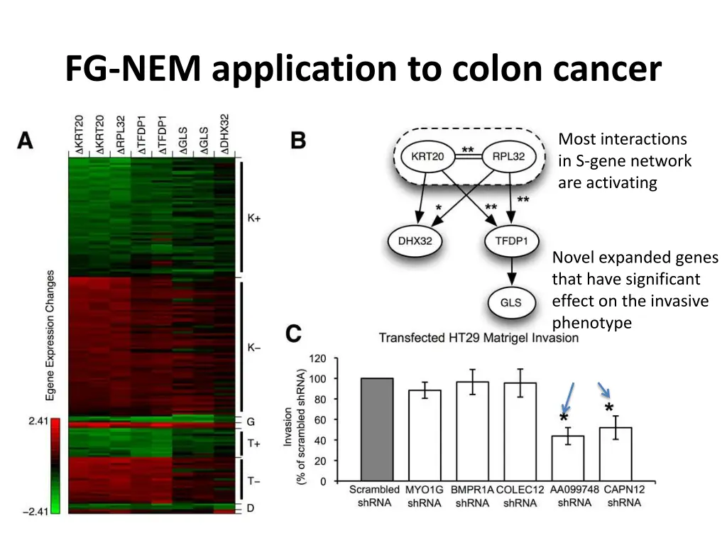 fg nem application to colon cancer