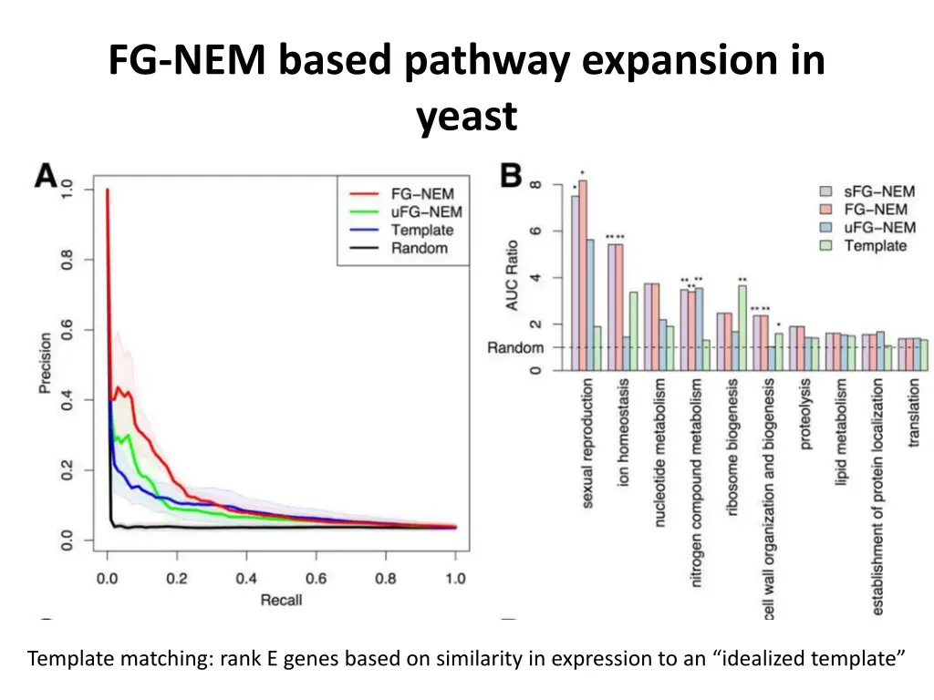 fg nem based pathway expansion in yeast