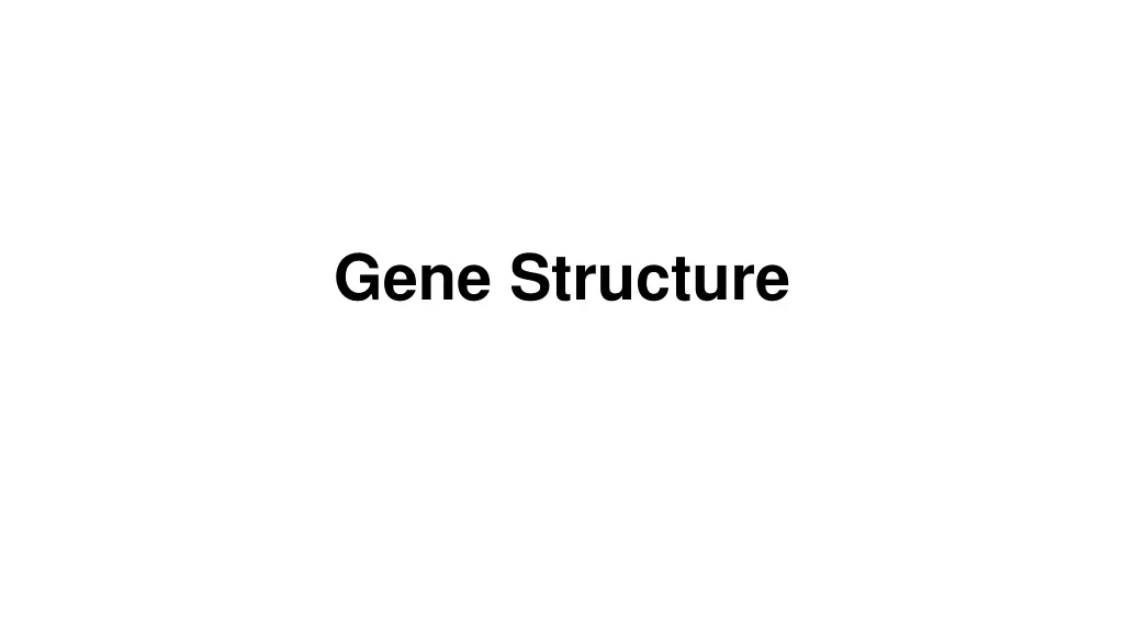 gene structure