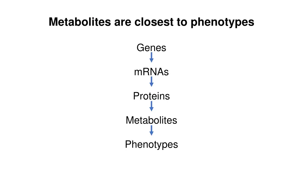 metabolites are closest to phenotypes