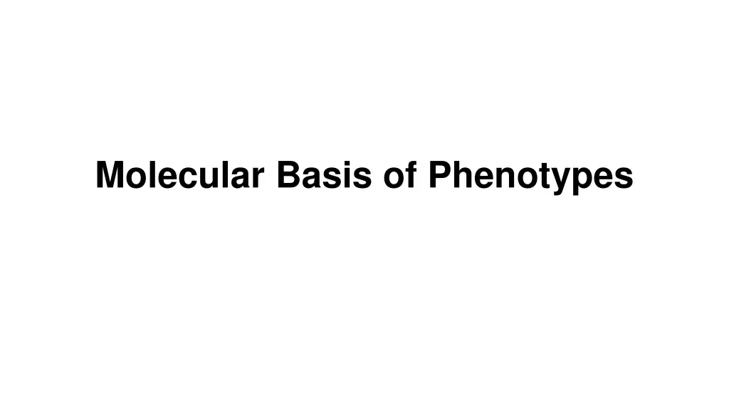 molecular basis of phenotypes