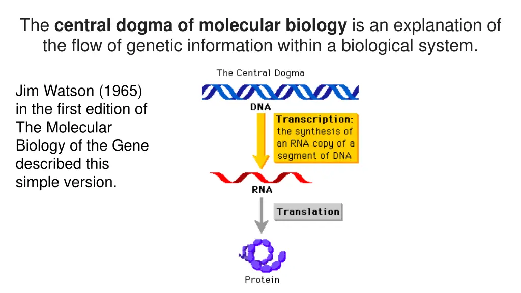 the central dogma of molecular biology 1