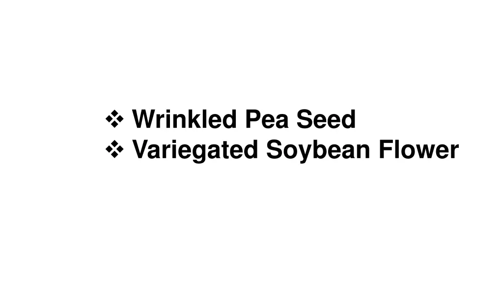 wrinkled pea seed variegated soybean flower