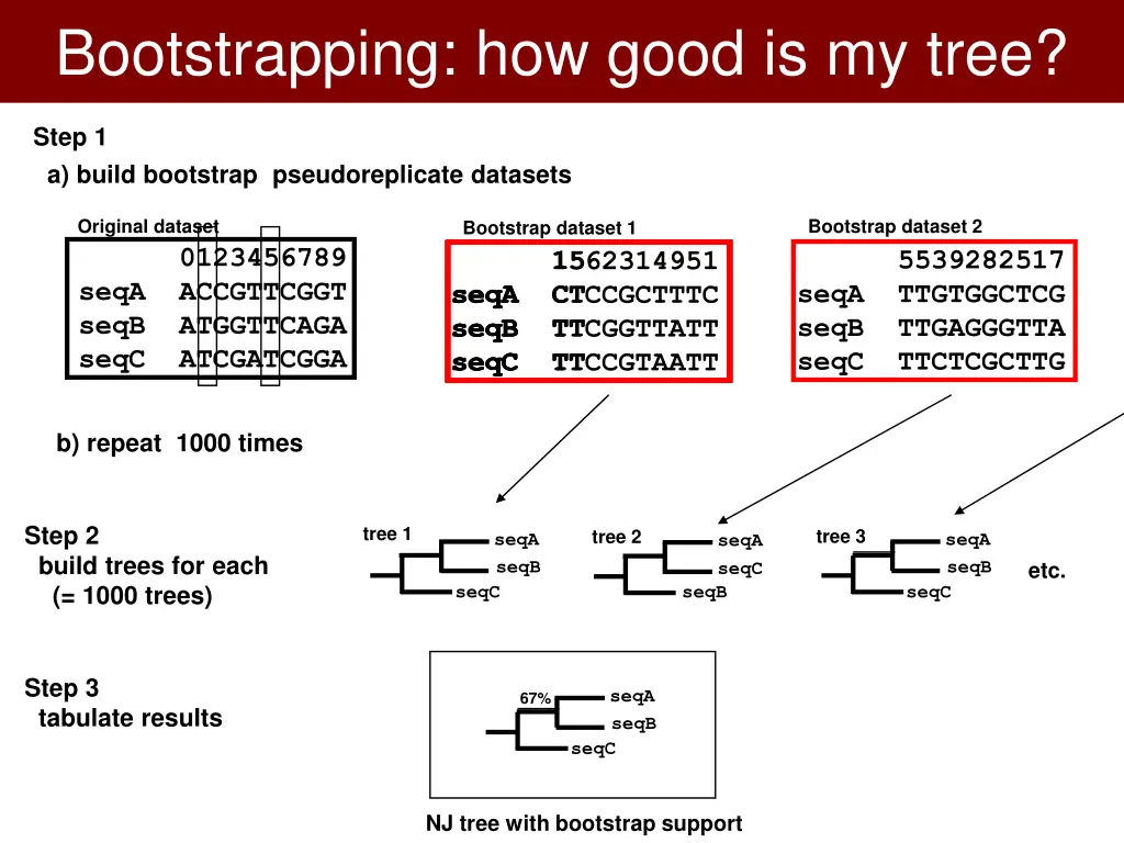 bootstrapping how good is my tree 1