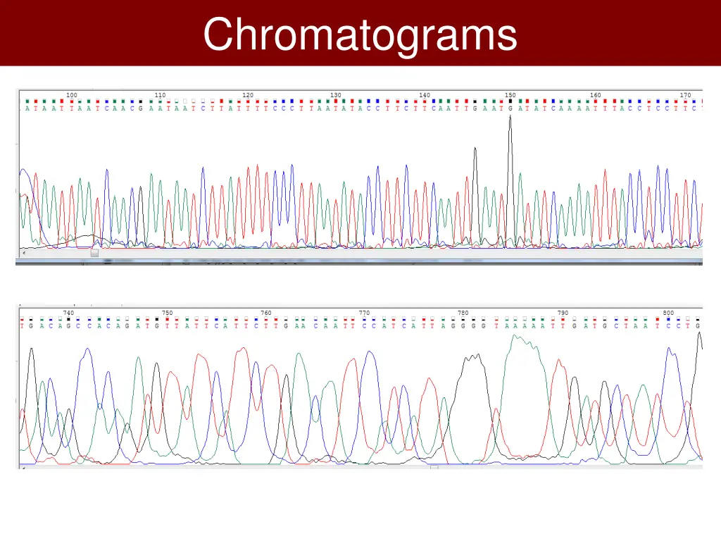 chromatograms 1