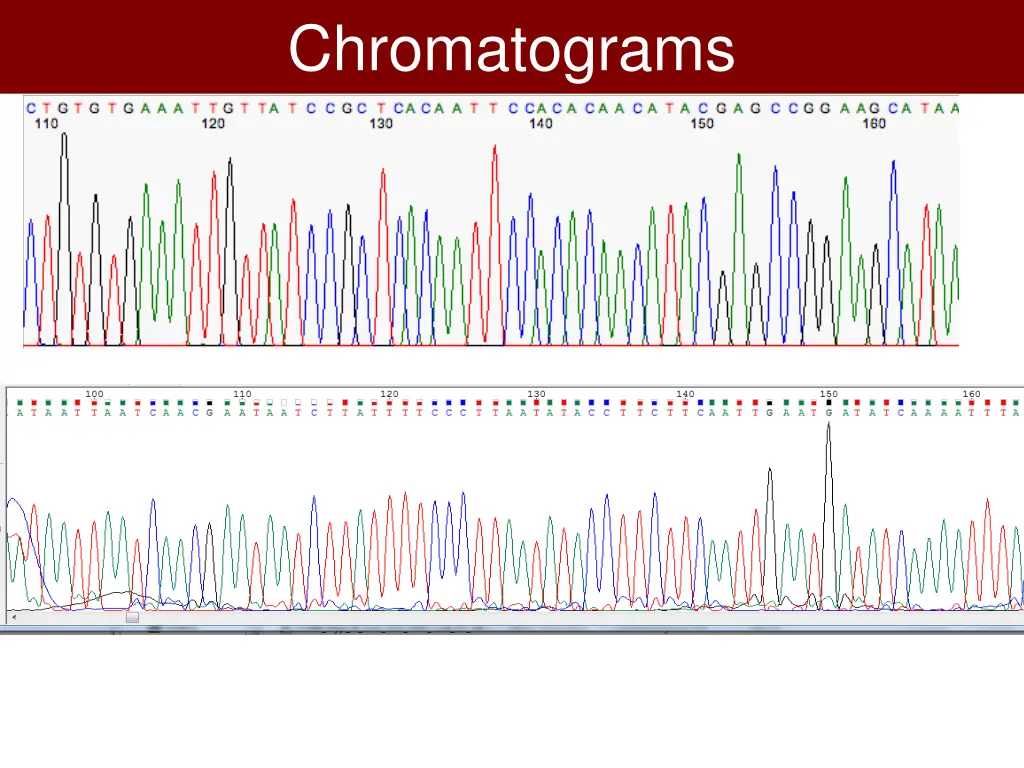 chromatograms