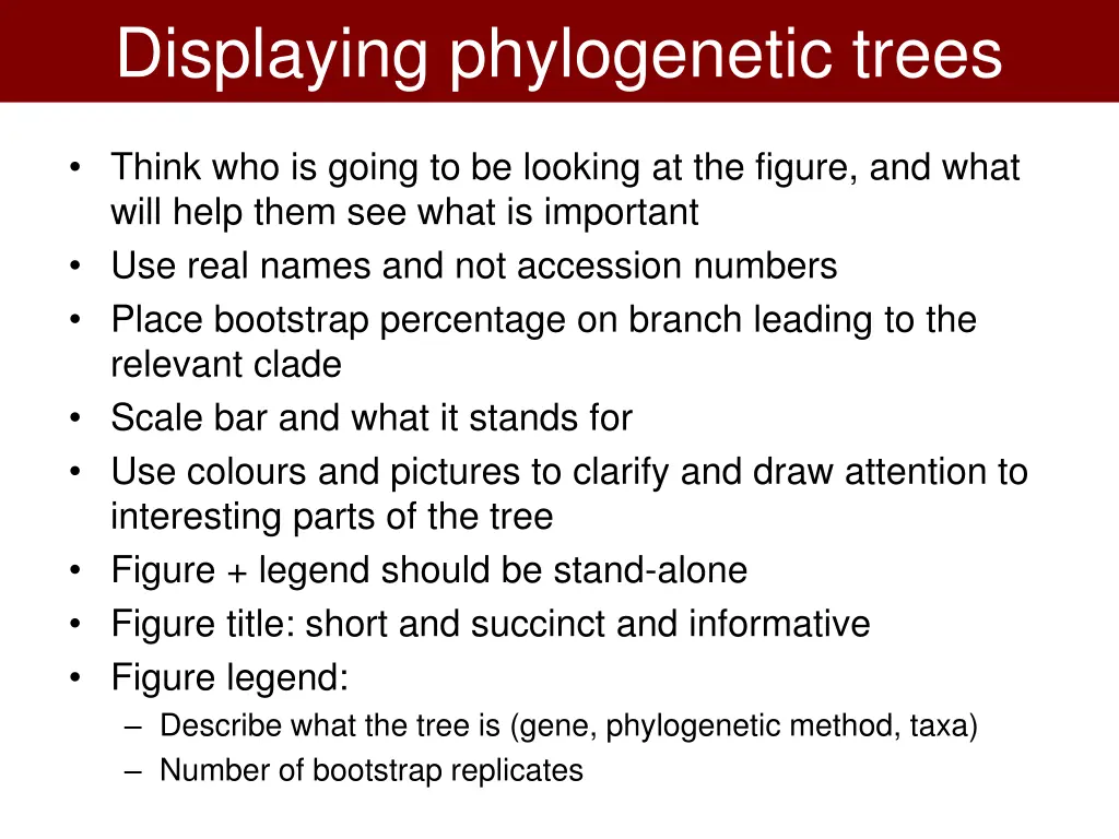 displaying phylogenetic trees 1