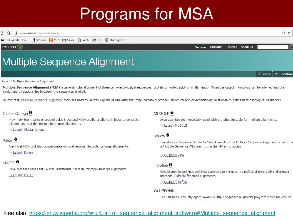 programs for msa