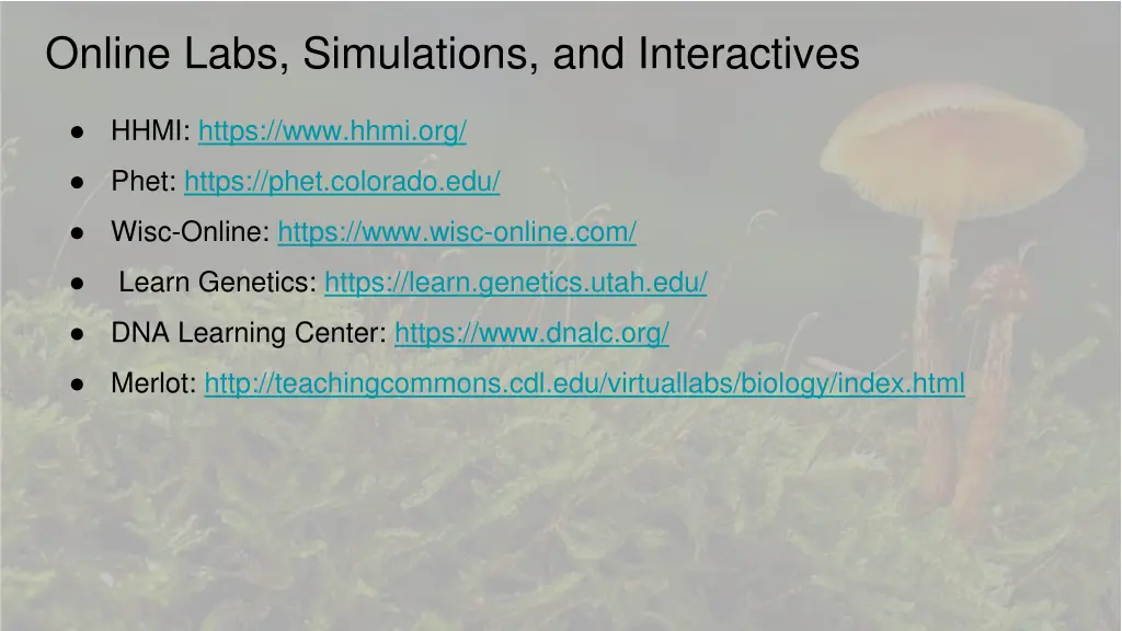 online labs simulations and interactives