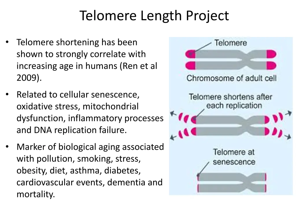 telomere length project