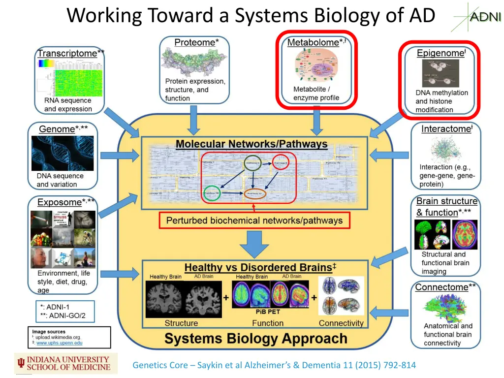 working toward a systems biology of ad