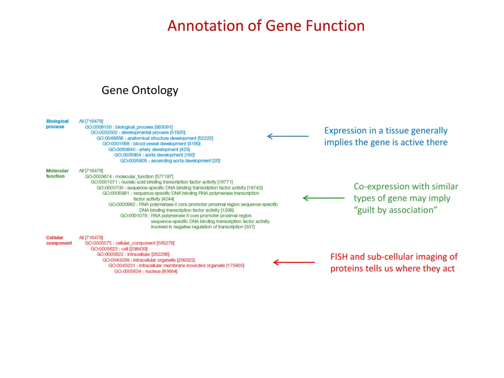 annotation of gene function