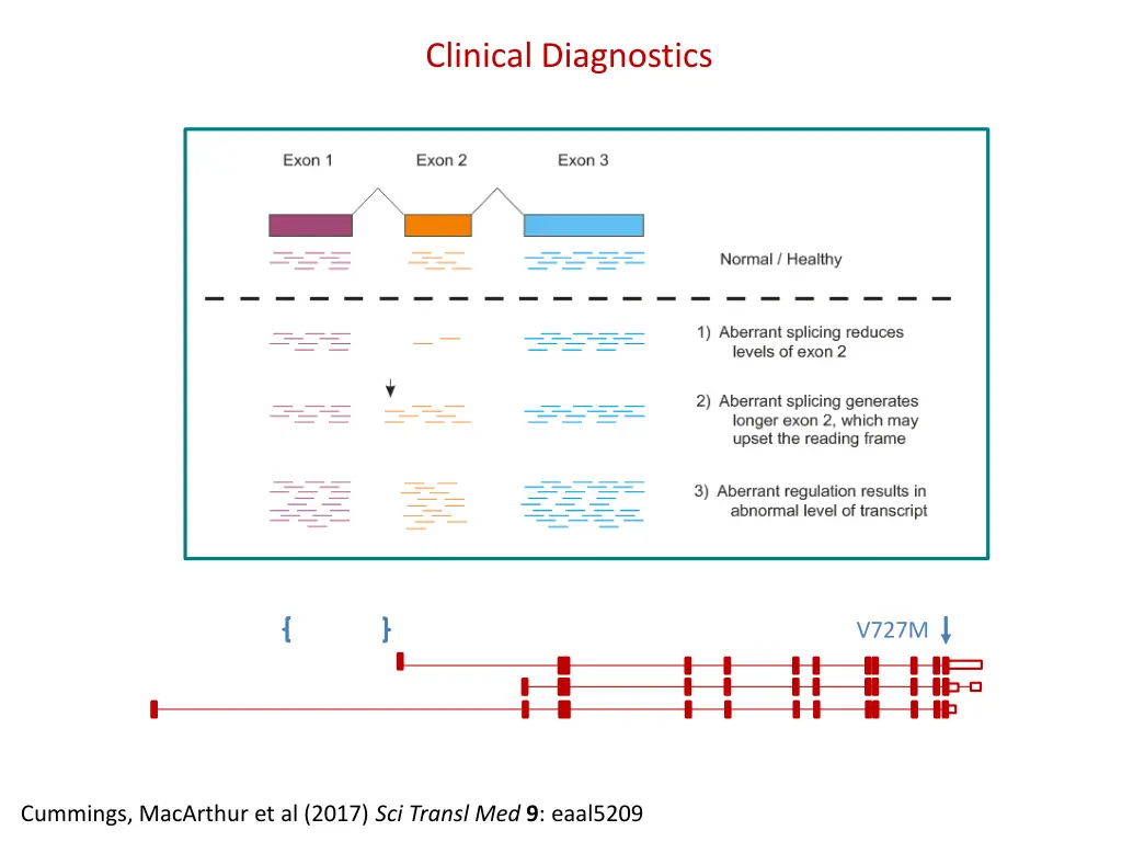 clinical diagnostics