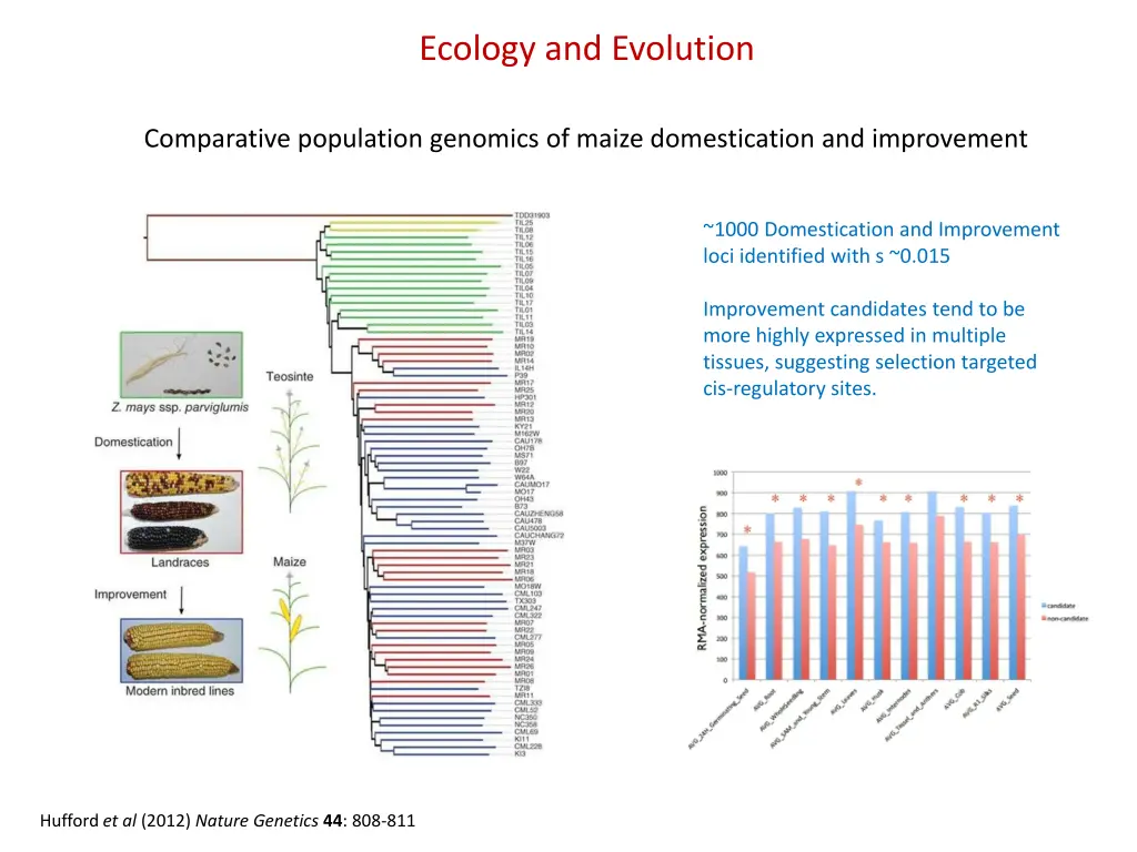 ecology and evolution