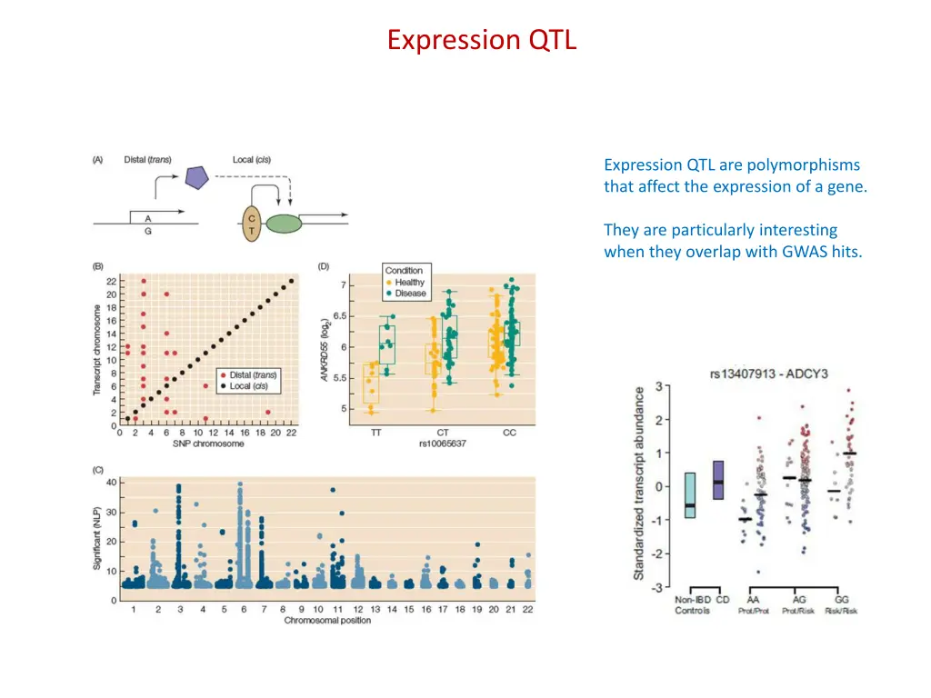 expression qtl