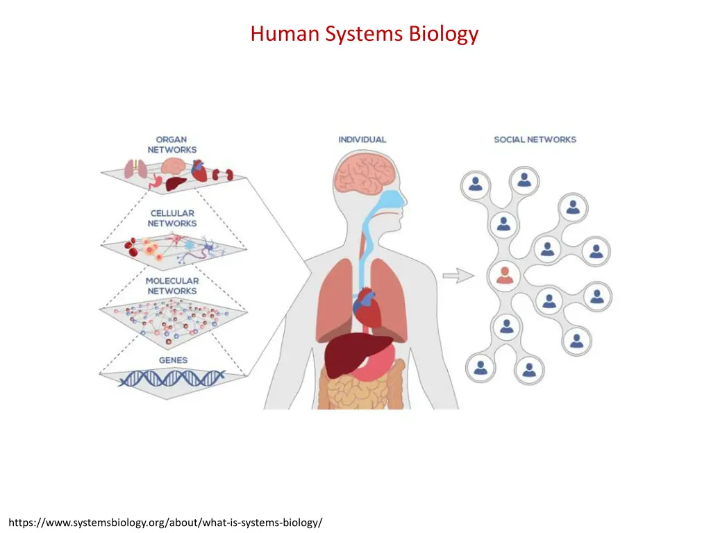 human systems biology