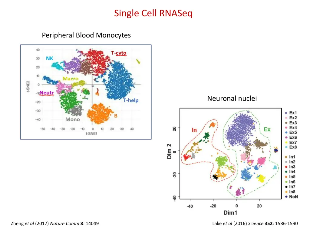 single cell rnaseq