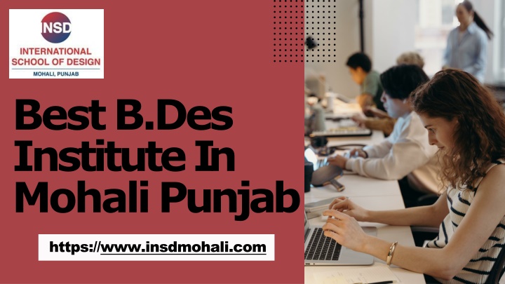 best b des institute in mohali punjab