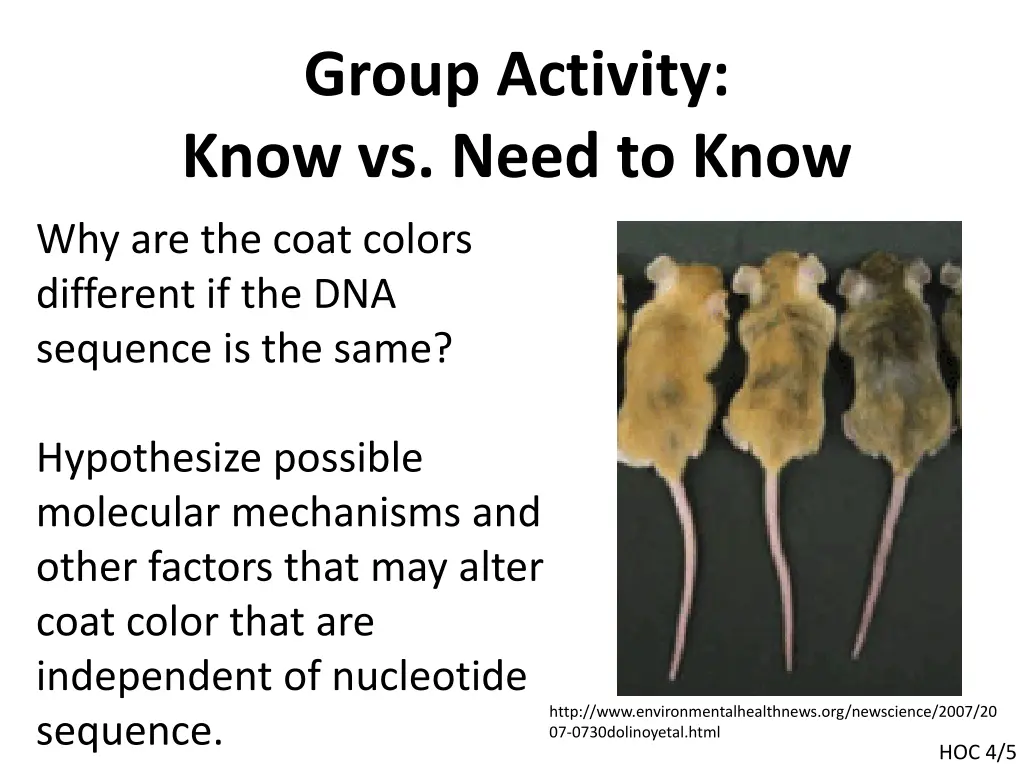 group activity know vs need to know