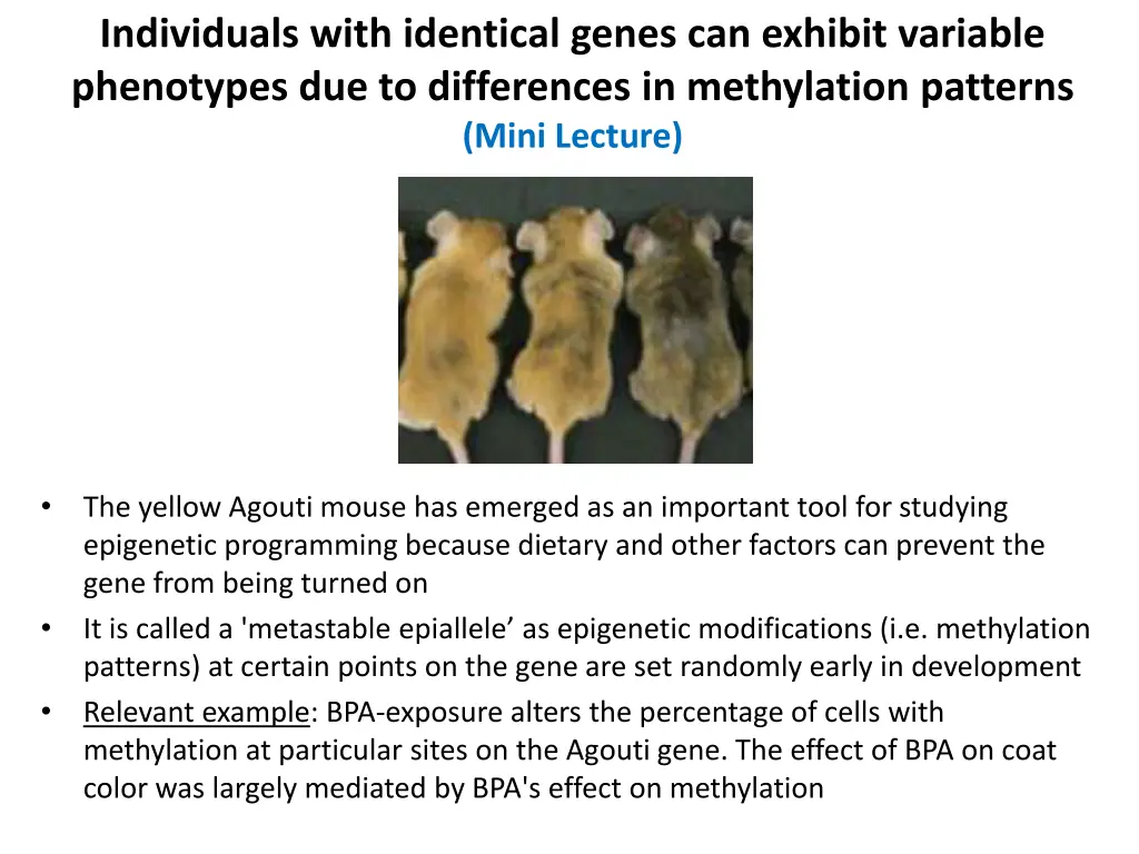 individuals with identical genes can exhibit