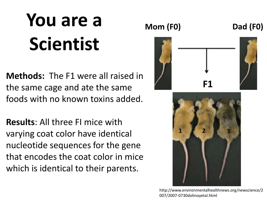 you are a scientist