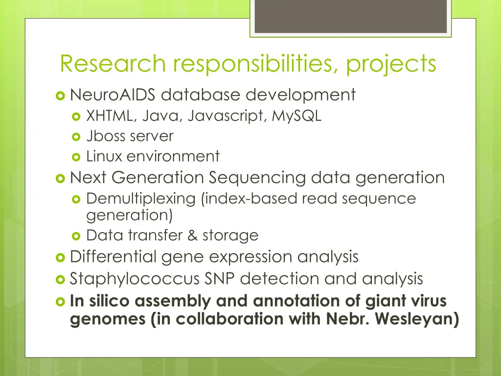 research responsibilities projects