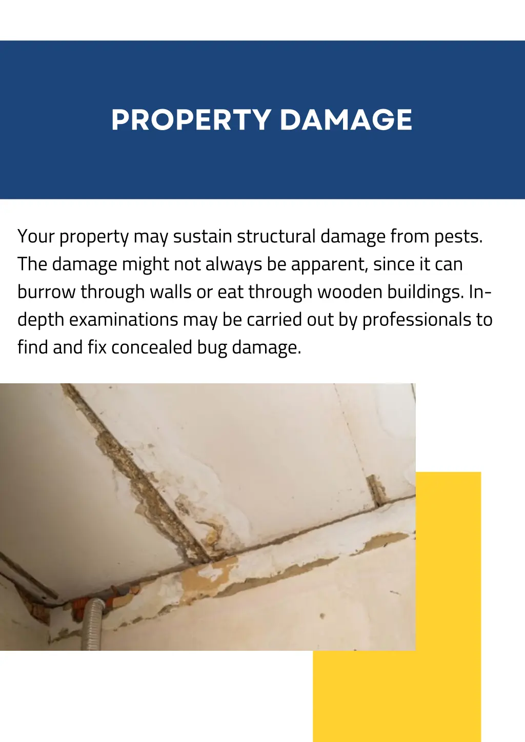 property damage