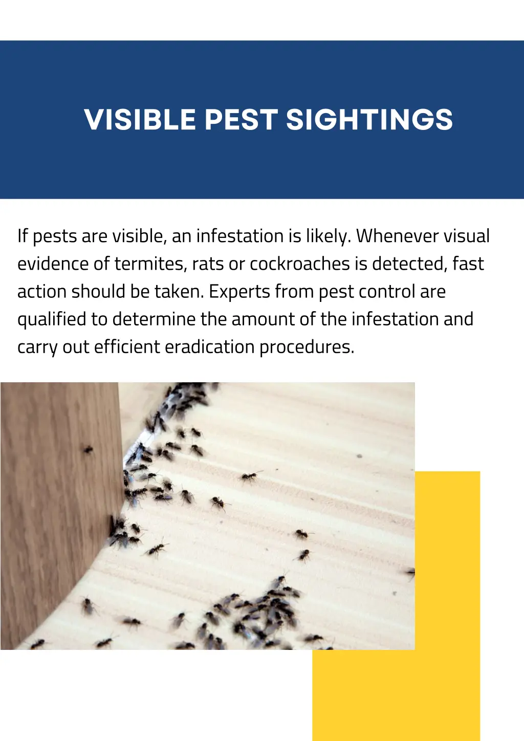 visible pest sightings