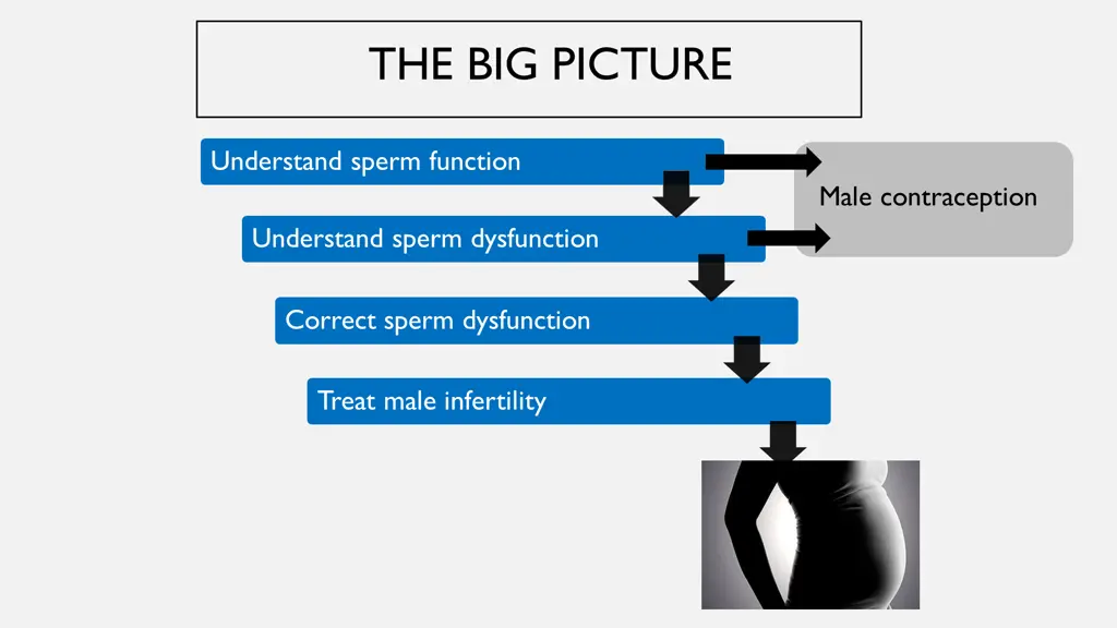 the big picture