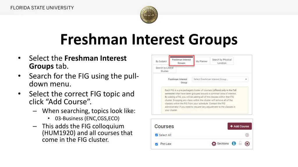 freshman interest groups