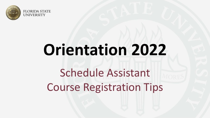 orientation 2022