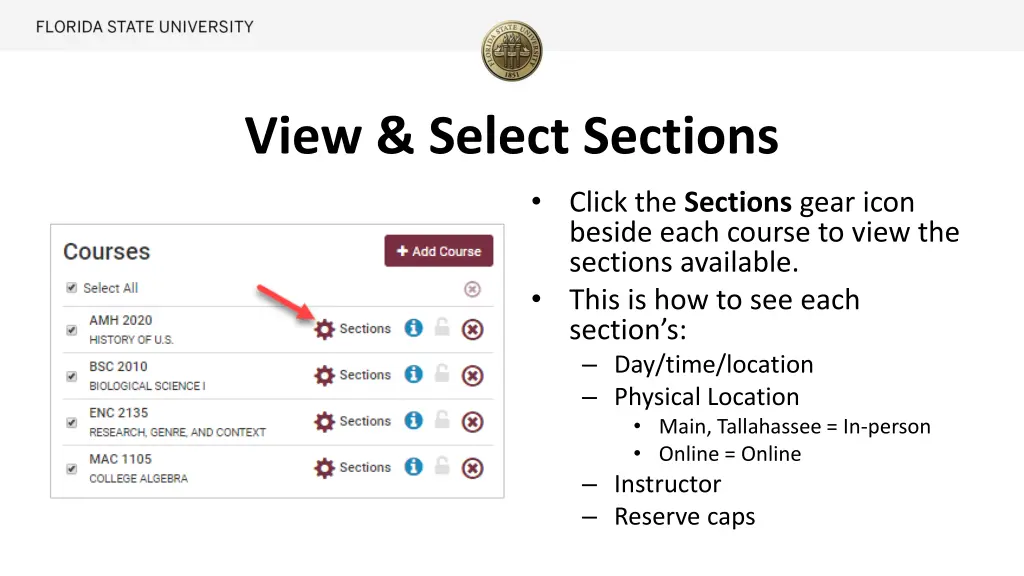 view select sections