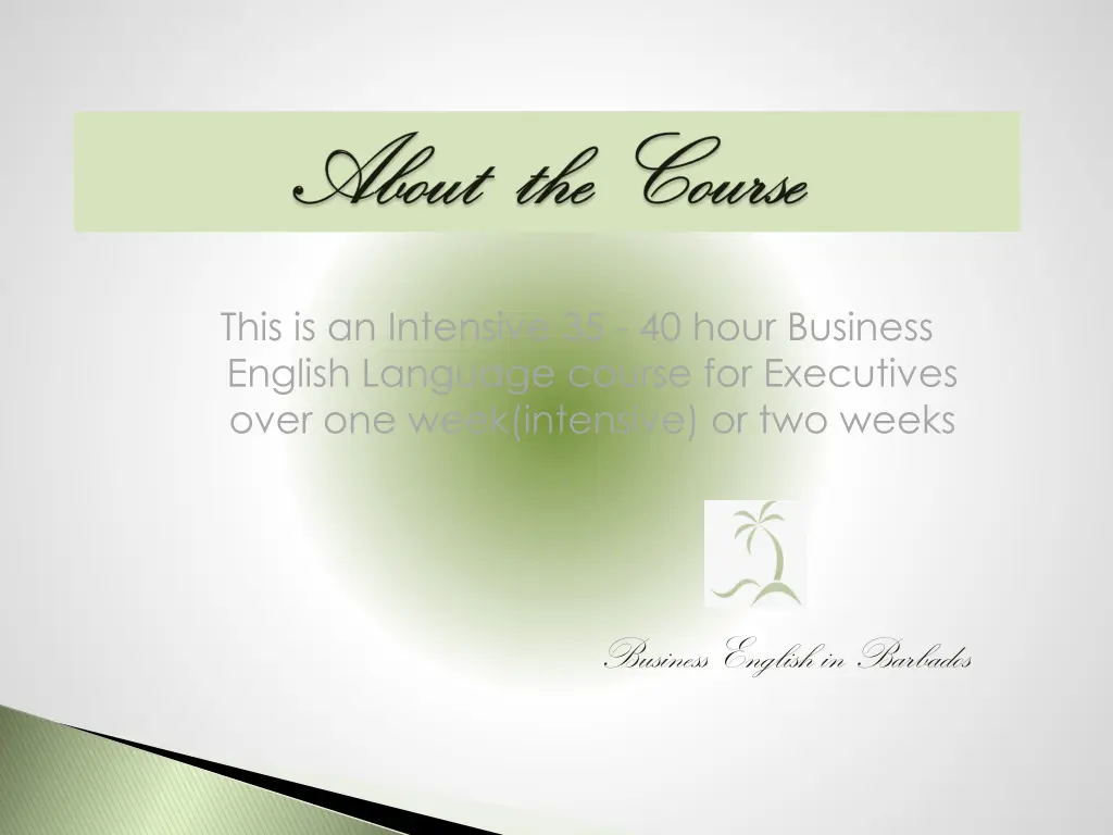 this is an intensive 35 40 hour business english