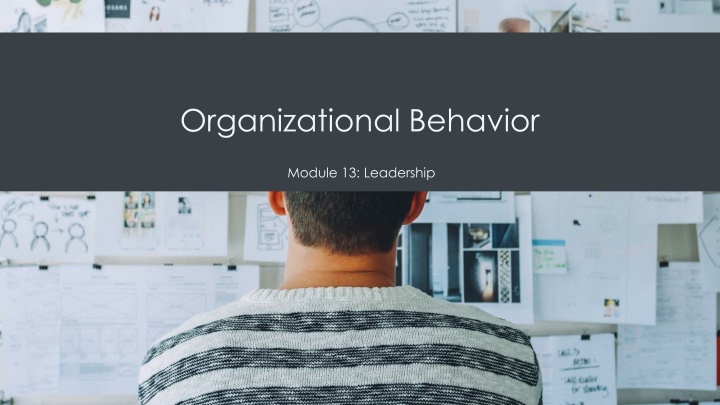 organizational behavior