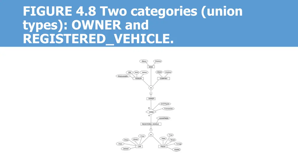 figure 4 8 two categories union types owner