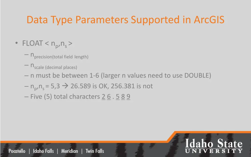 data type parameters supported in arcgis